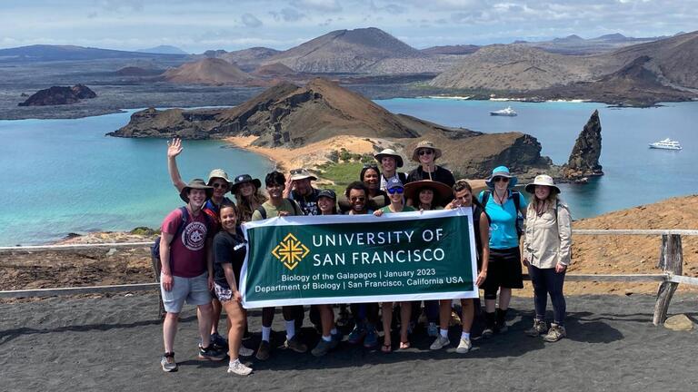 students posing with a USF banner in front of an ocean and islands in the background