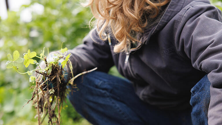 Image of student working in community garden.