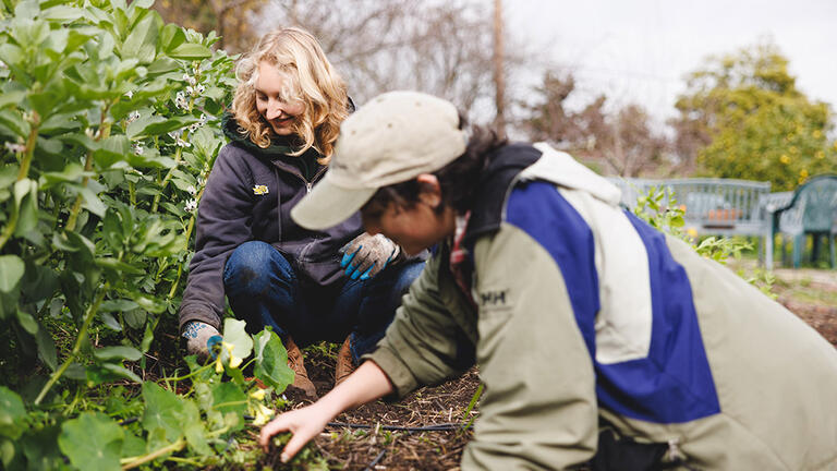 Two students working with plants.