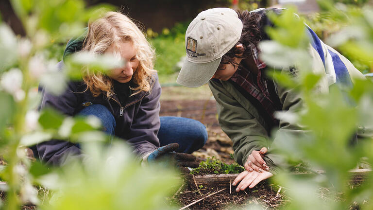 Students tending to the community garden