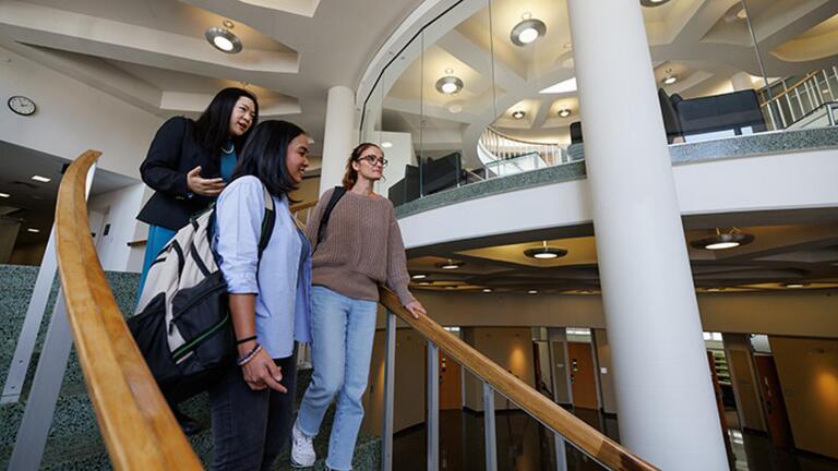 people walking down school of law steps