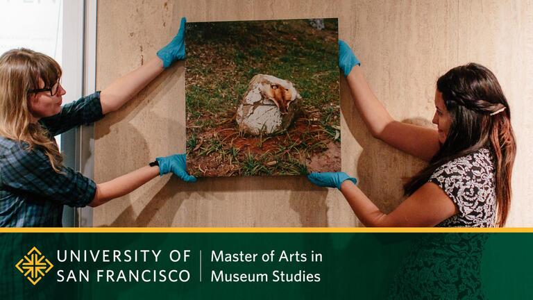 Museum Studies Program