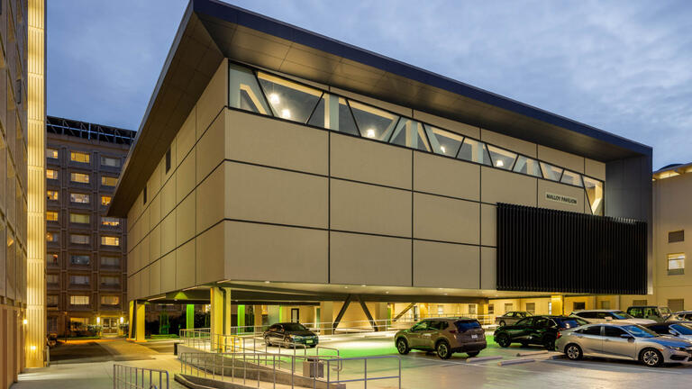 Read the story: USF Malloy Pavilion Recognized with National Engineering Award