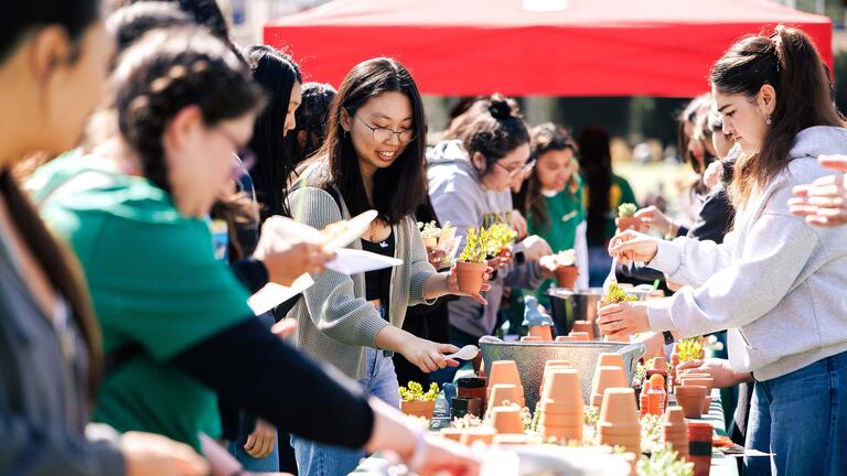Students at Day of the Dons Stress Less day planting succulent into mini pots