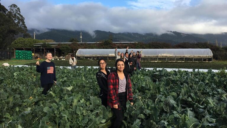Students learn about vegetable farming at Star Route Farms.