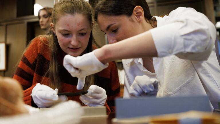 two students study and ancient plate