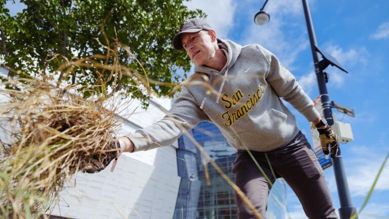 Man pulling up dead foliage from the ground
