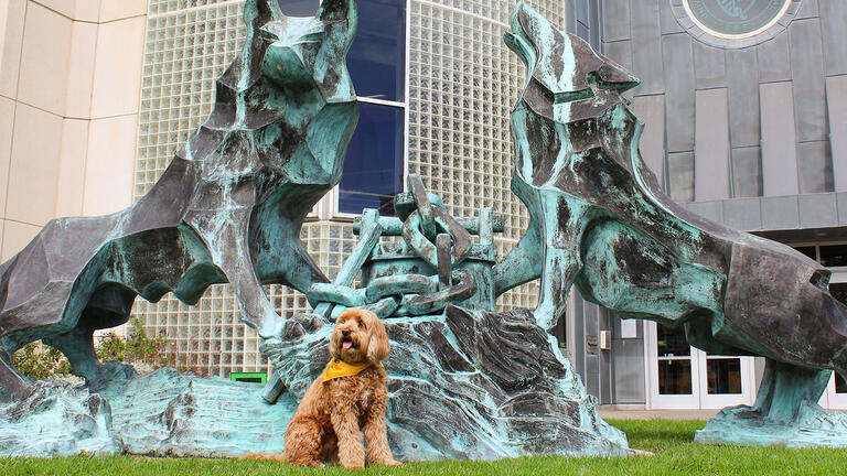 Brown doodle wearing a bandana sitting in front of the Wolf and Kettle statue