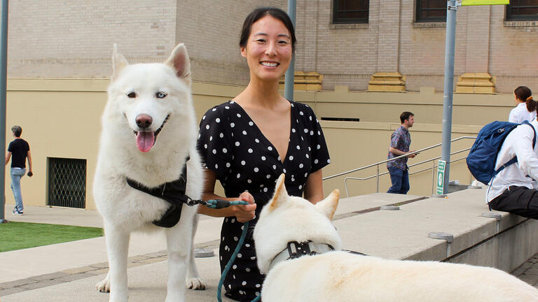 Two white huskies with their owner