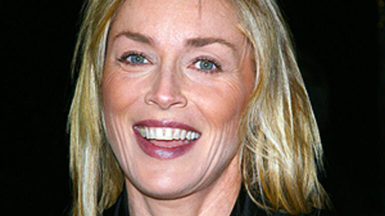 Sharon Stone raises awareness about causes she advocates for at USF