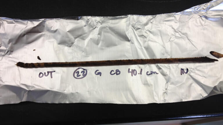 MSEM graduate students collect and analyze tree growth rings at Muir Woods