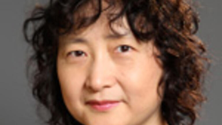 Professor Xiaohua Yang School of Management