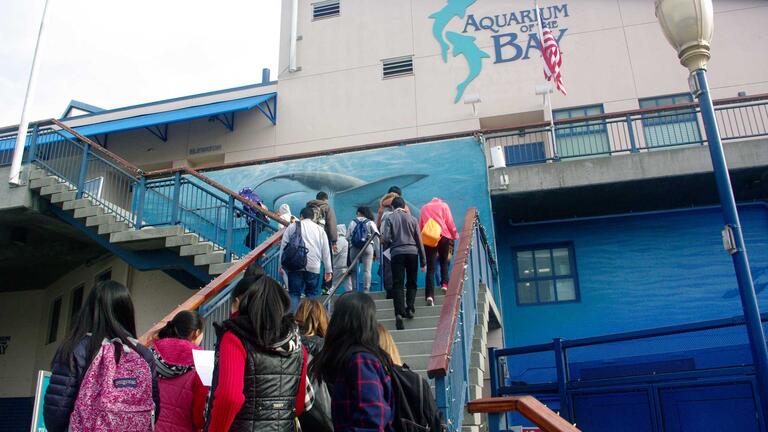 UBMS students visit the San Francisco Bay Aquarium to learn about local marine life. 