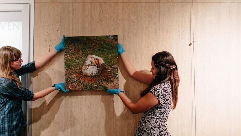 USF Museum Studies students install Interwoven: Indigenous Contemporary
