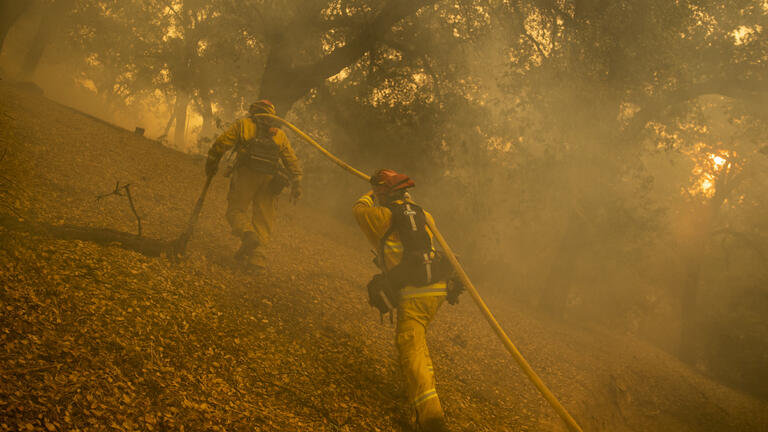 Michael Carlson and another firefighter