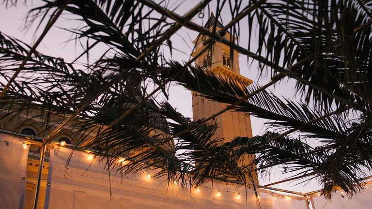 View of sukkah palm frond roof from below