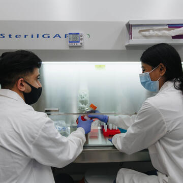 Lab associate hands chemical solution to another lab associate under the protective glass of a biosafety cabinet