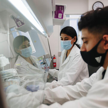 Two lab associates handle equipment while reaching into biosafety cabinet