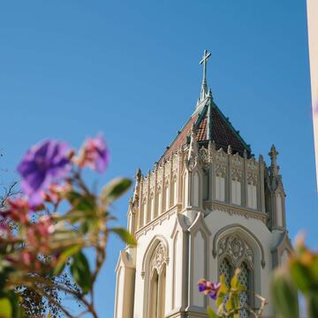 Tower at Lone Mountain and flowering bushes