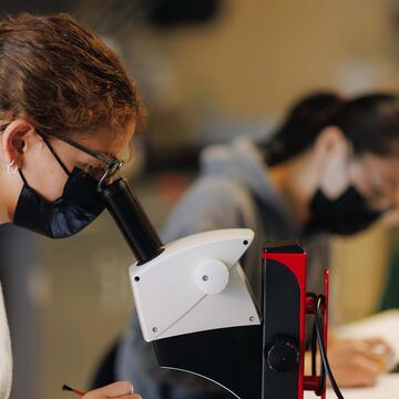 Student looks into a microscope