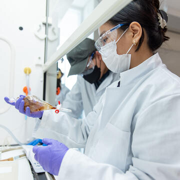 Students work with samples in a lab.