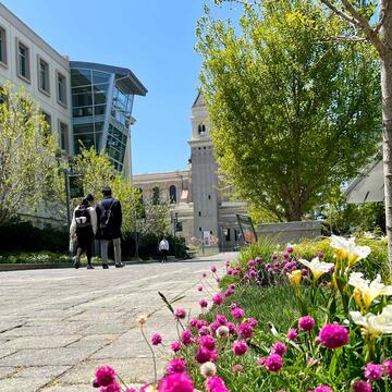 Walkway on main campus with flowers in bloom.
