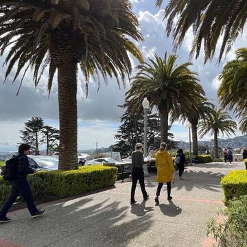Students walk on palm tree lined pathway on Lone Mountain.