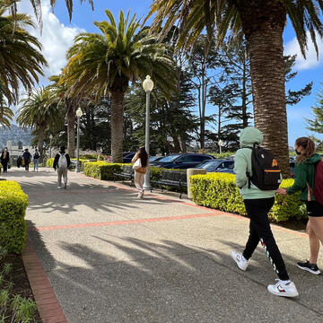 Students walk on the palm tree lined path on Lone Mountain.