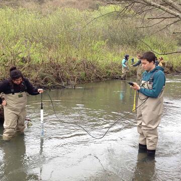 Students surveying water