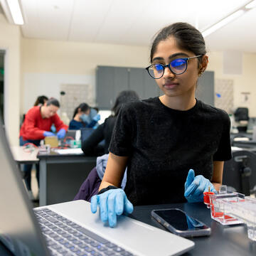 Student in a lab class enters information on a laptop.