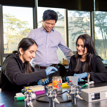 USF students working in a lab