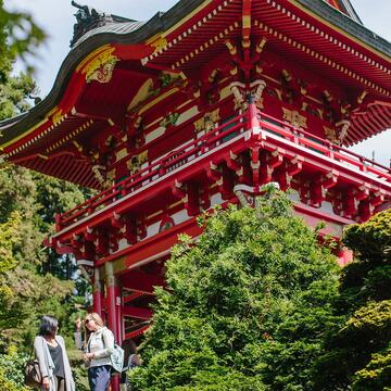 Pagoda in the tea garden