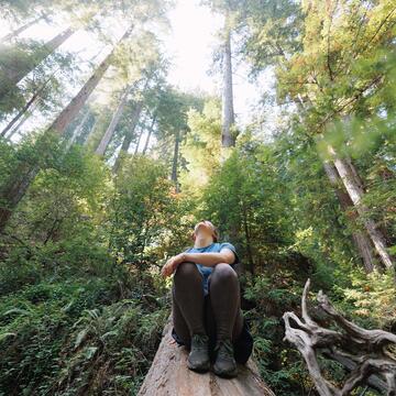 Student sitting and looking up in the forest