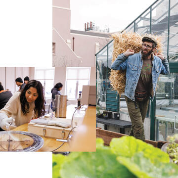 Photos of USF students in lab and working on community gardens