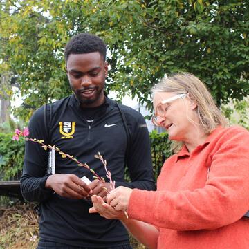 student examines flowers at the community garden on USF campus