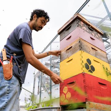Student in the community garden