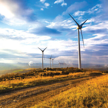 Wind farm.