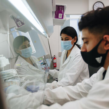 Mohammed Hamir and Naomi Vinod conduct research in the lab.