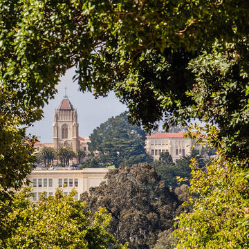 Lone Mountain building as seen through bushes