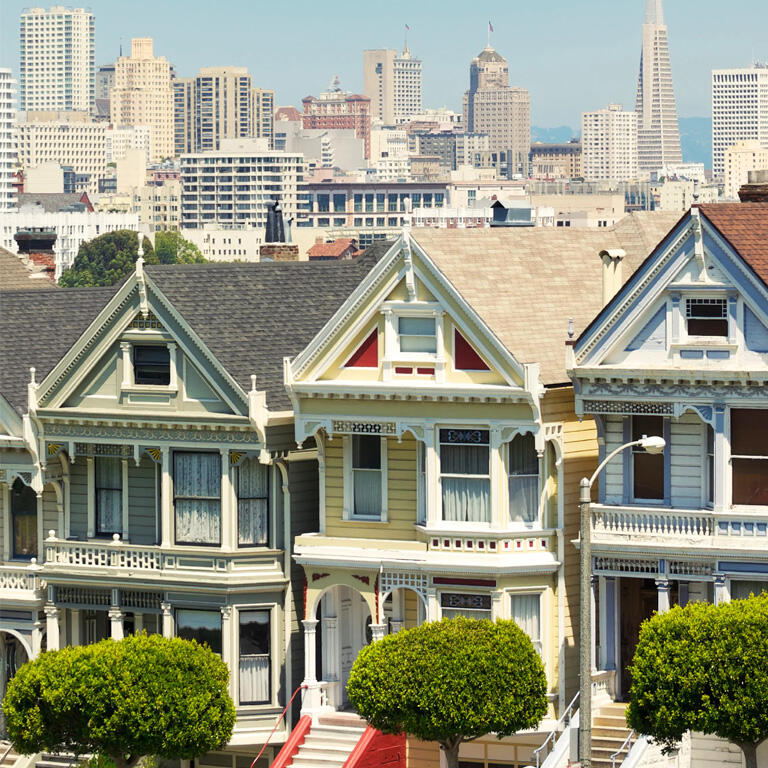 the painted ladies