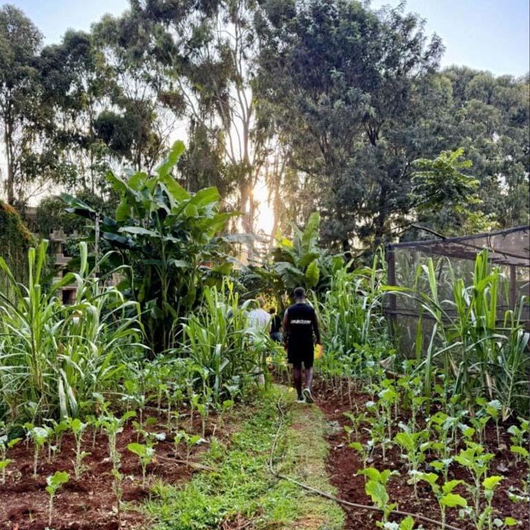 Student in the fields