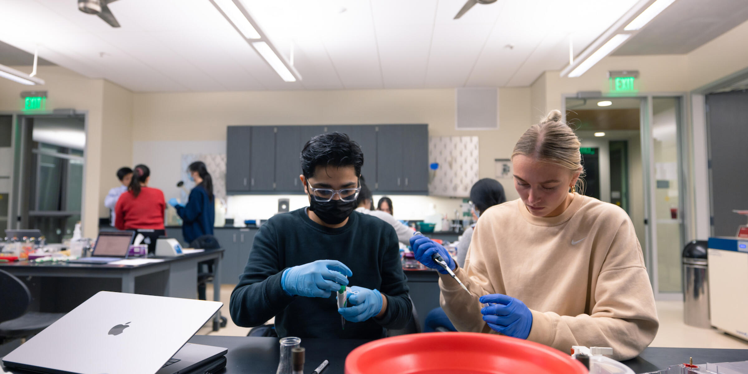 USF Makes Princeton Review’s 2024 Top Colleges List University of San