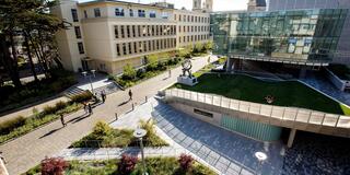 USF Main Campus