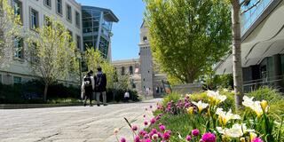 Walkway on main campus with flowers in bloom.