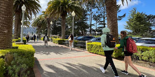 Students walk on the palm tree lined path on Lone Mountain.