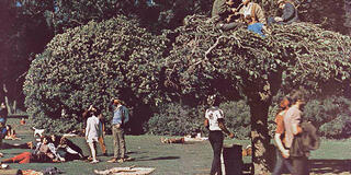 Students hanging out on the lawn and sitting in a tree.