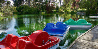 Pedal boats in Stow Lake