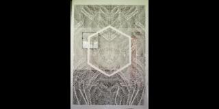 Intricate white cut-paper installation with organic, web-like patterns radiating symmetrically around a central hexagon.