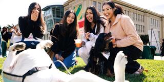 Four students play with therapy dog during Day of the Dons stress less activity