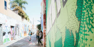 Students taking photos of graffiti art in an alley